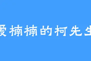 爱楠楠的柯先生