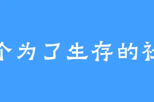 一个为了生存的社畜