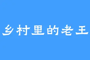 乡村里的老王