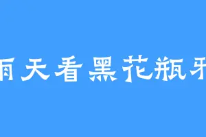 夏雨天看黑花瓶邪胖