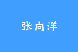 张向洋