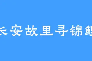 长安故里寻锦鲤
