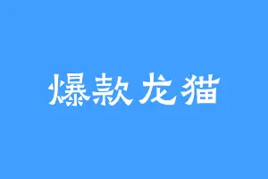 爆款龙猫