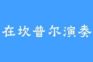 在坎普尔演奏