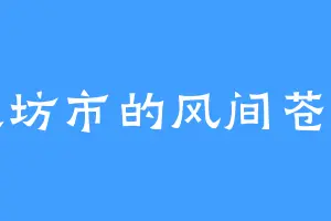 大坊市的风间苍月