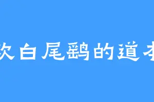 喜欢白尾鹞的道本君