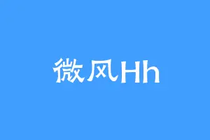 微风Hh