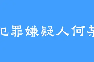 犯罪嫌疑人何某