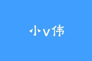 小v伟